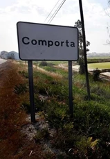Comporta (1)