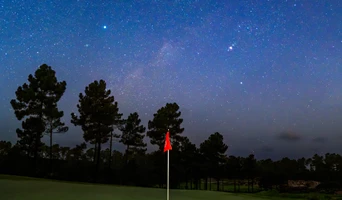 Jhogg Comporta 18Th AR508740