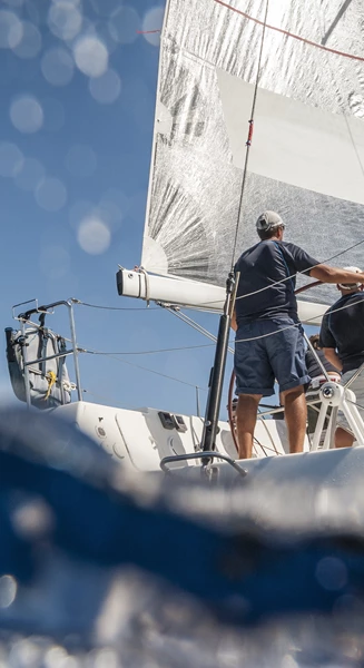 Shutterstock 556229788