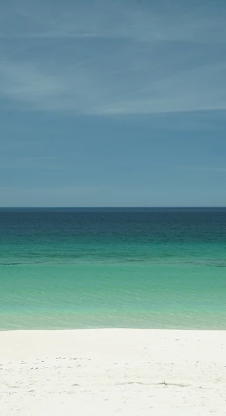 DSC08355