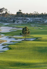 Torre Golf Course Inauguração Linked In (3)