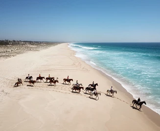 Cavalos Na Areia