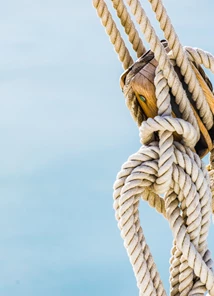 Shutterstock 577965751