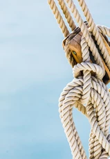 Shutterstock 577965751